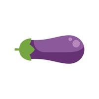 Freshly picked eggplant lying horizontally on white background vector