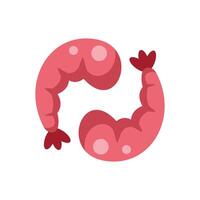 Two cooked shrimps forming a circle on white background vector