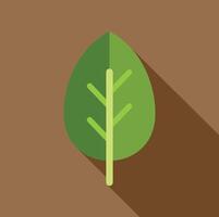 Green leaf with long shadow representing nature and growth vector