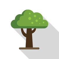 Lush green tree with round crown and brown trunk standing tall vector