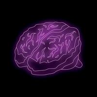 Purple neon light brain glowing on dark background vector