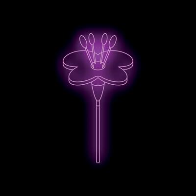 Purple neon flower glowing on black background