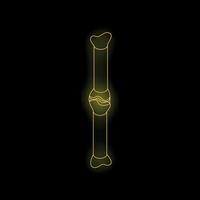 Broken bone fracture glowing on black background vector