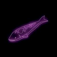Purple neon sign of koi fish swimming upwards on black background vector