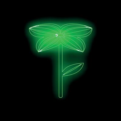 Green neon flower glowing on black background