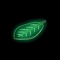 Green neon leaf glowing on black background vector