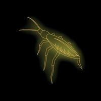 Glowing insect line art on black background vector