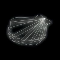 White line drawing of a scallop shell glowing on black background vector