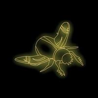 Neon beetle flying on black background vector