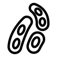 Three bacteria showing cellular division reproducing by fission vector