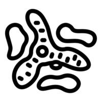 Amoeba proteus multiplying by binary fission, showing two nuclei and cytoplasm dividing vector