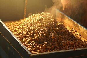 A pile of steamed peanuts sits in a blue container. photo