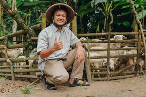 Joyful Asian farmer showing thumb up approval gesture while kneeling down with livestock goats for sacrifices behind. Eid Al Adha concept. photo