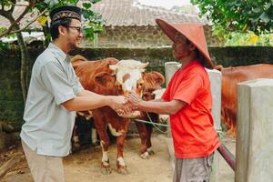 Excited Asian Muslim man doing transaction and handshake with the cattleman buying livestock cows for sacrifices. Eid Al Adha concept. photo