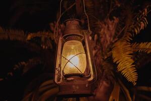 An oil lamp lantern is lit up in the dark. The lantern is hanging from a tree branch. photo