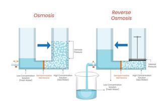 Natural Water Flow and Pressure Driven Purification Process vector