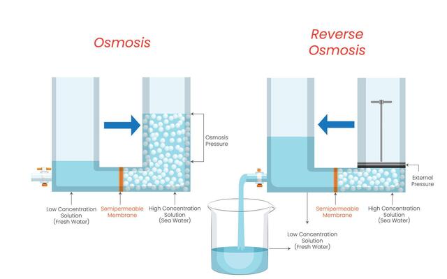 Natural Water Flow and Pressure Driven Purification Process