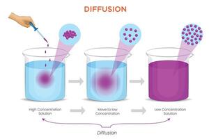 Diffusion Movement of Particles from High to Low Concentration vector