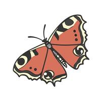 Set Of An Butterfly Icons Designed vector