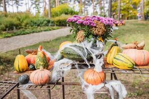 Autumn Harvest Display with Pumpkins and Flowers in a Forest Setting. photo