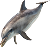 Cheerful Dolphin Swimming Playfully in Bright Colorful Design. . png