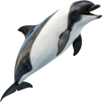 Playful Dolphin Swimming Joyfully in Colorful Cheerful Art. . png
