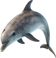 Cheerful Playful Dolphin Swimming with Vibrant Expression Art. . png