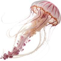 Graceful Jellyfish Swimming in Colorful and Lively Design. . png