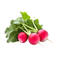 Three Fresh Red Radishes with Green Leaves png