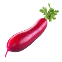 A Single, Vivid Red Radish with Green Stem and Leaves png