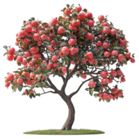 apple tree with red apples on a white background png