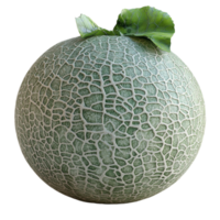 Melon with a Green Leaf on Top png