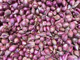 red onion forms a background, wallpaper. photo
