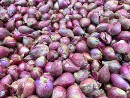 red onion forms a background, wallpaper. photo