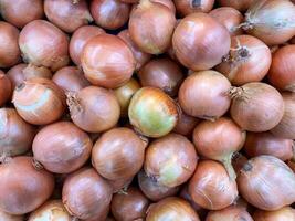 onions, collection of onions background. photo