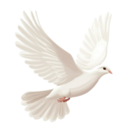 Symbol of Peace Free Flying White Dove Isolated on White Background on transparent background png