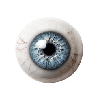 Vibrant blue iris of a human eye isolated transparent png