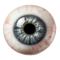 Close up view of a detailed human eye structure isolated transparent png