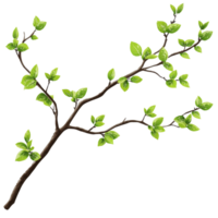 Green leafed branch with fresh foliage in spring isolated transparent png