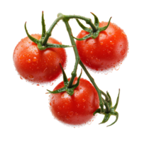 Fresh vine ripened tomatoes with water droplets isolated transparent png
