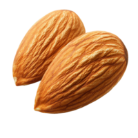 Natural almond nuts on white background isolated transparent png