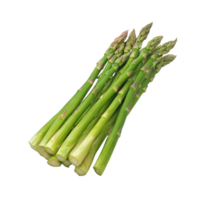 Fresh green asparagus bunch on a white background isolated transparent png