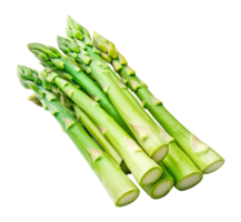 Fresh green asparagus bunch on a white background isolated transparent png