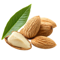 Almonds and green leaves on white isolated transparent png