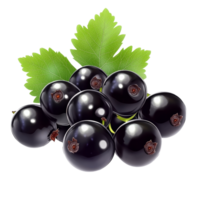 Fresh blackcurrants with green leaves on display isolated transparent png