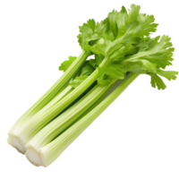 Fresh green celery stalks on a white background isolated transparent png