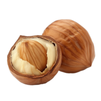 Fresh hazelnuts on white background isolated transparent png