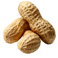 Three raw peanuts on a plain background isolated transparent png