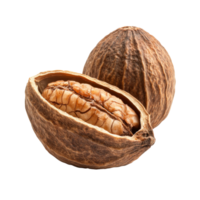 Vibrant walnut with shell and kernel on display isolated transparent png