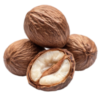 Close up of a nut with hard shell isolated transparent png